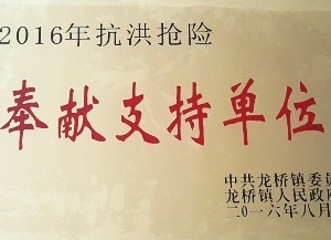 2016年镇赏金船长(中国)官方网站-抗洪抢险